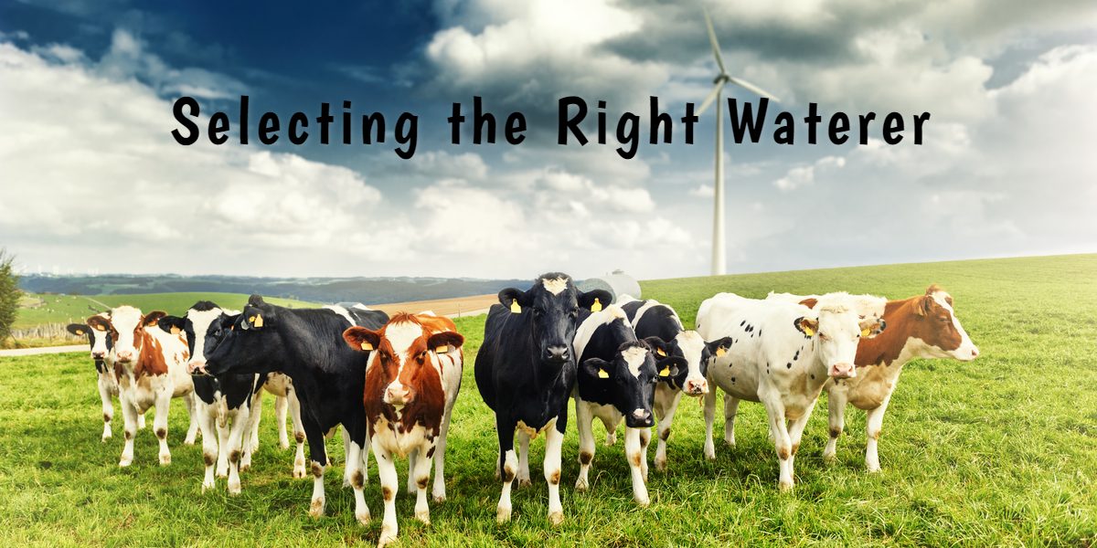 Livestock Waterer Guide: Finding the Right Fit
