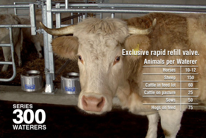 300-livestock-2.jpg